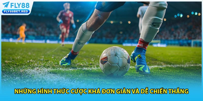 Những hình thức cược khá đơn giản và dễ chiến thắng